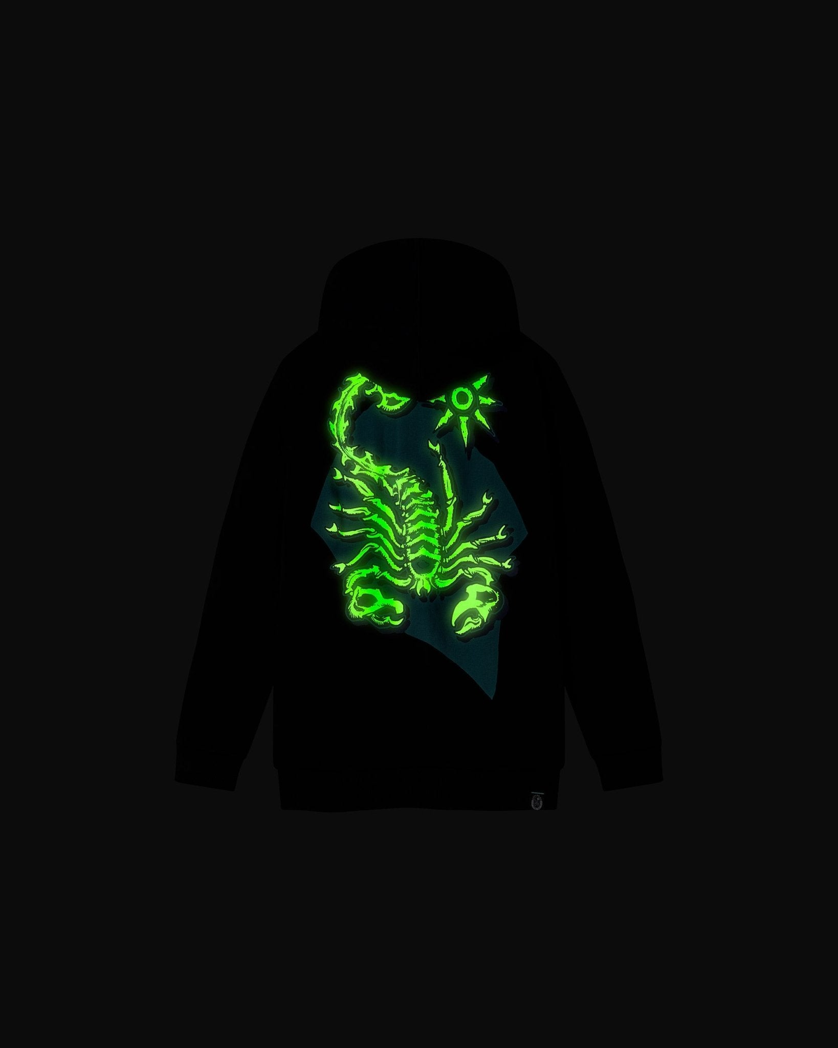 Felpa con cappuccio e zip "Luminescent Iron" bambino - Scorpion Bay
