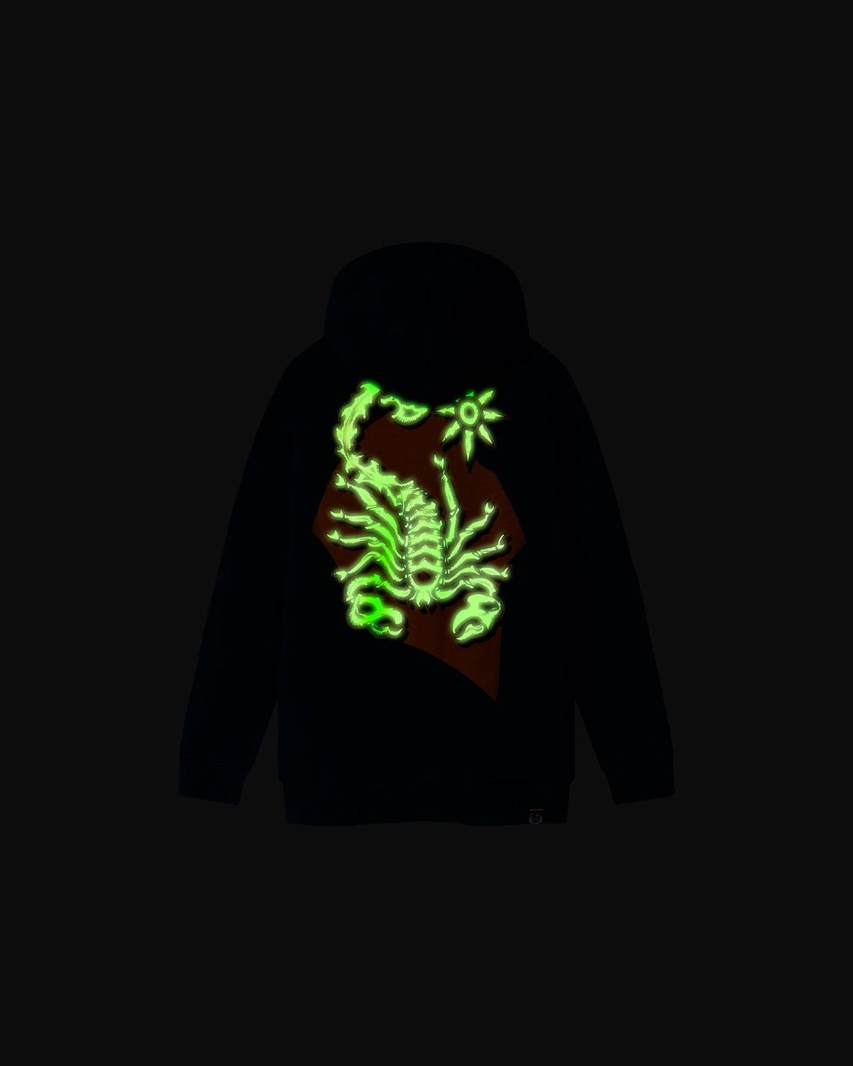 Felpa con cappuccio e zip "Luminescent Iron" bambino - Scorpion Bay