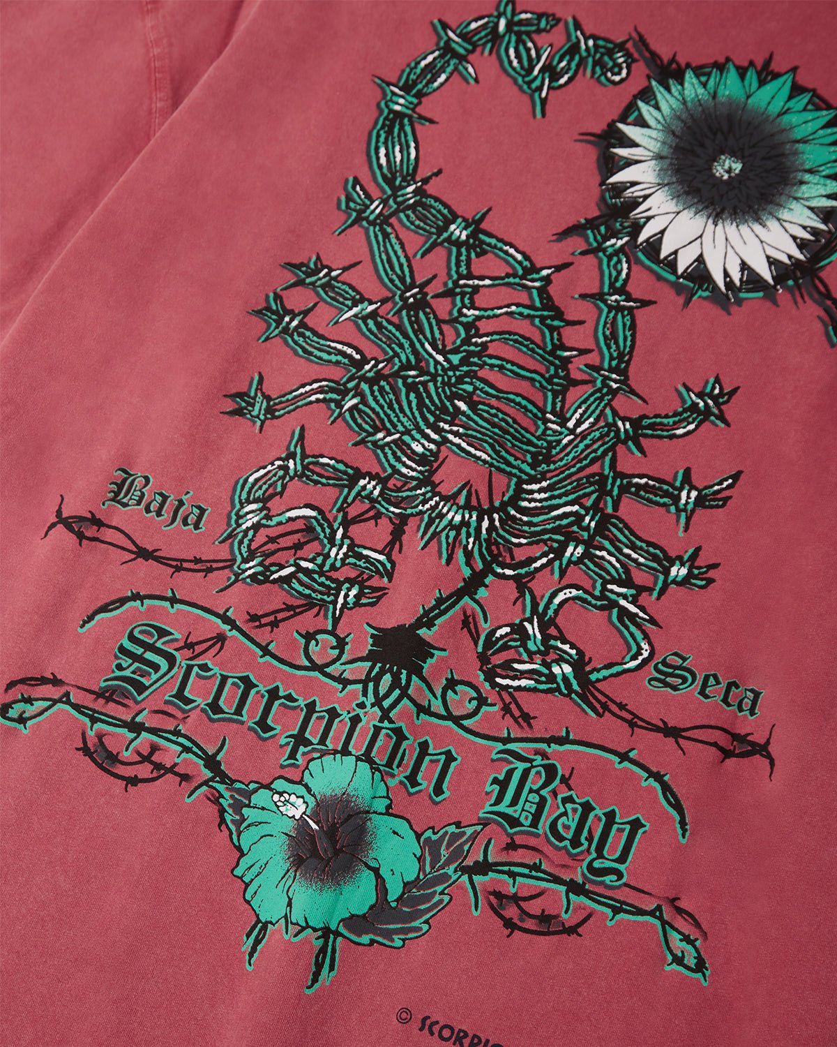 T-shirt d'archivio "Scorpion Wire" uomo - Scorpion Bay