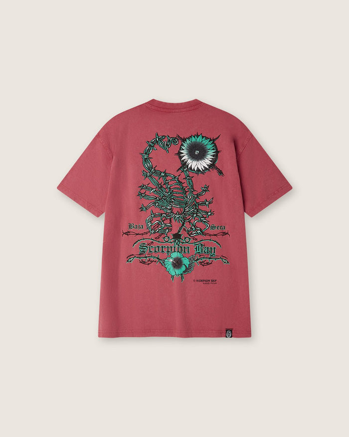 T-shirt d'archivio "Scorpion Wire" uomo - Scorpion Bay