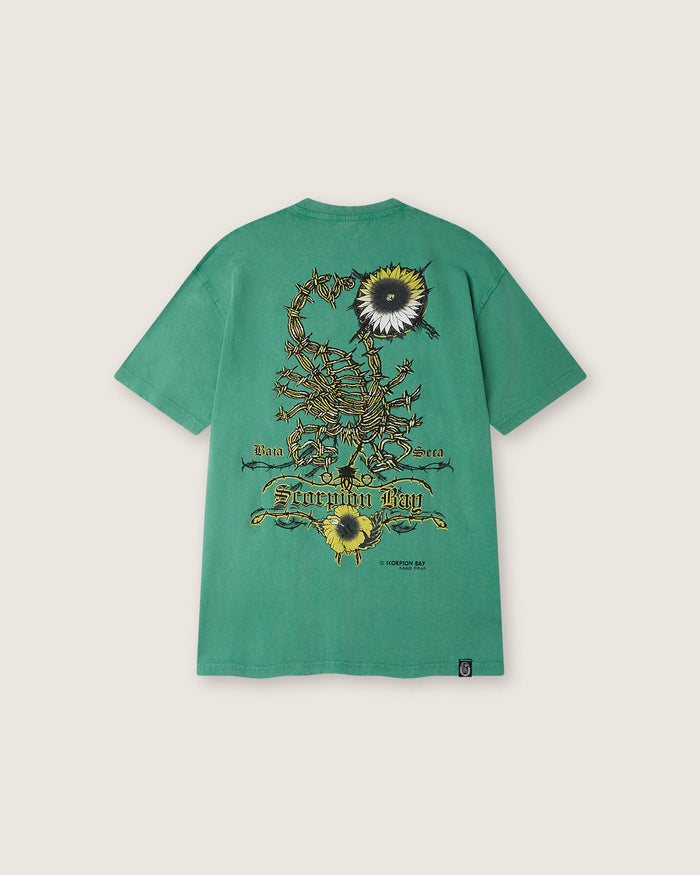 T-shirt d'archivio "Scorpion Wire" uomo - Scorpion Bay