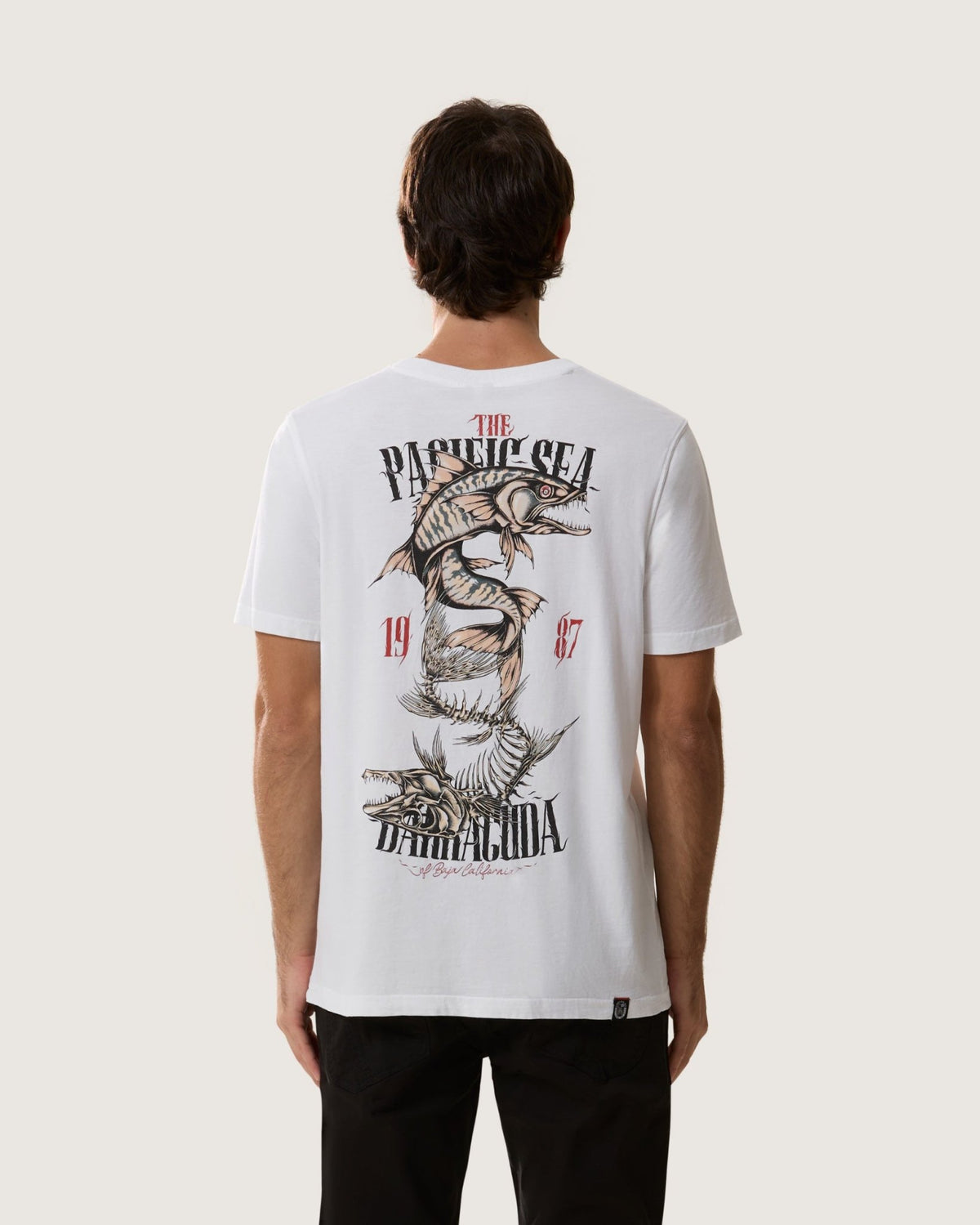 T-Shirt stampata "Barracuda" uomo - Scorpion Bay