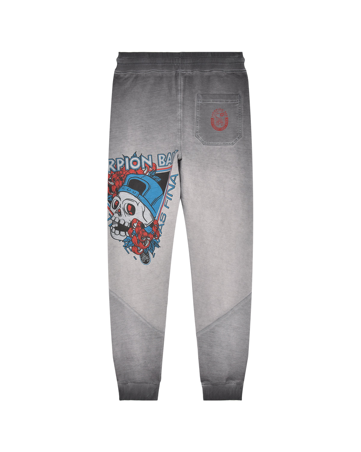 Kid | 100% Cotton Jogger With 'Skull Of Surf' Print